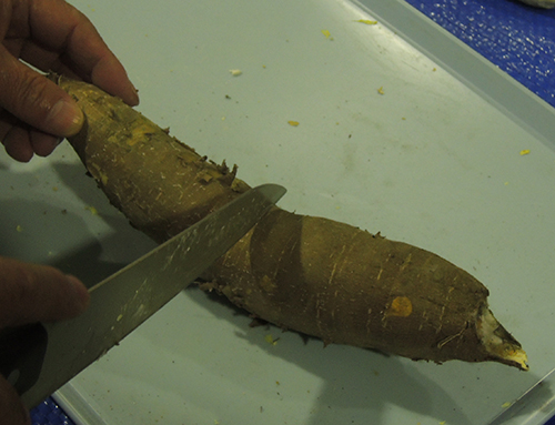 Cassava Peeling Machine DPS LbTo̔ނu